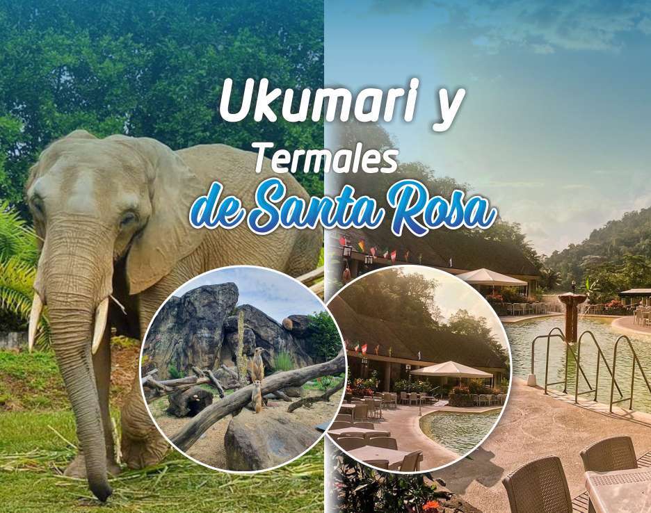 pasadia ukumari y termales desde cali