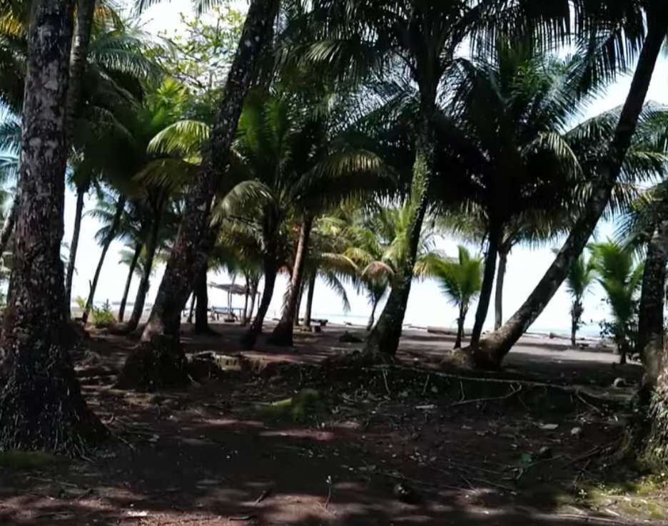 playas pianguita