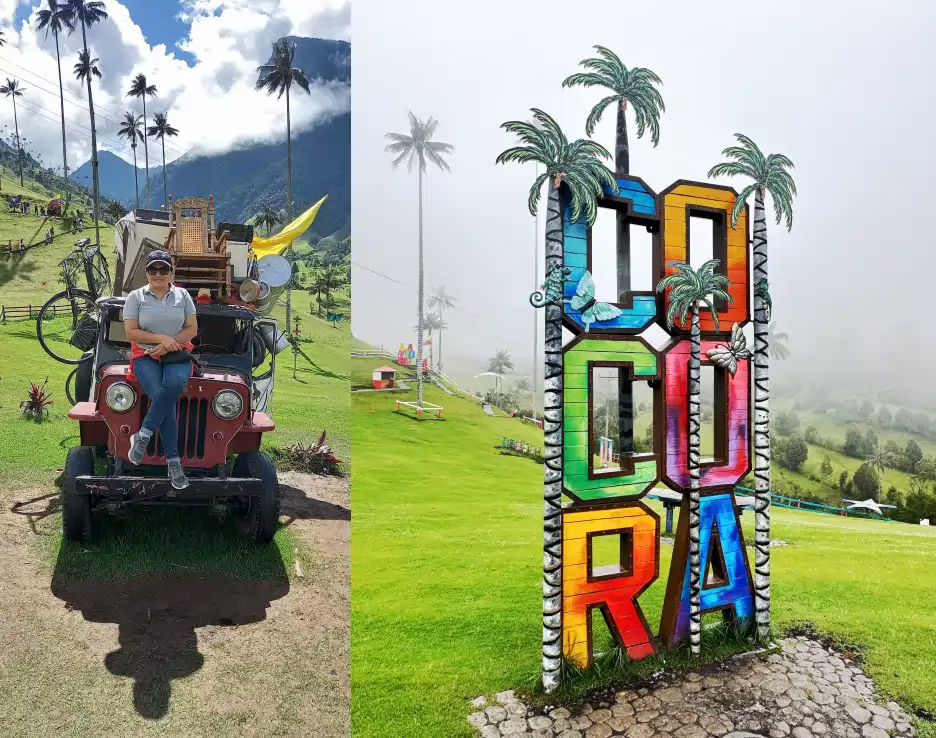 pasadia salento valle del cocora filandia